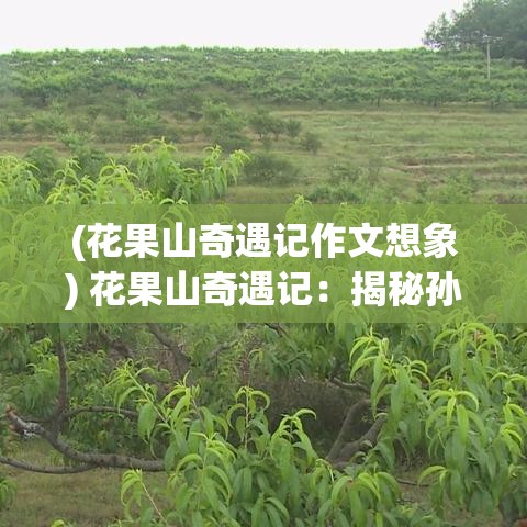 (花果山奇遇记作文想象) 花果山奇遇记：揭秘孙悟空的隐秘乱逗之旅 —— 森林深处的秘密花果盛宴